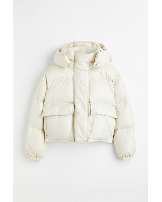 H & M Hooded Down Jacket