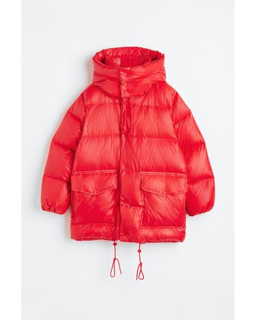 H & M Hooded Down Jacket