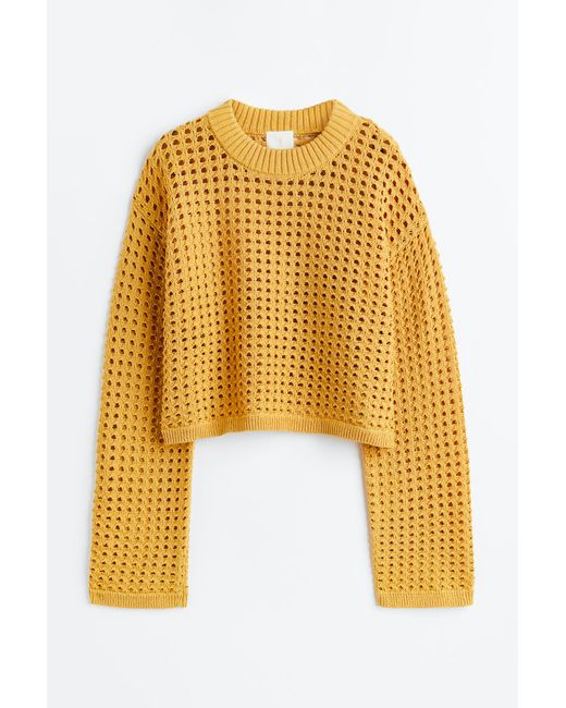 H & M Pointelle-knit Sweater
