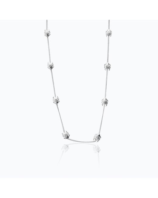 Tane Sterling Long Chain Beetle Necklace