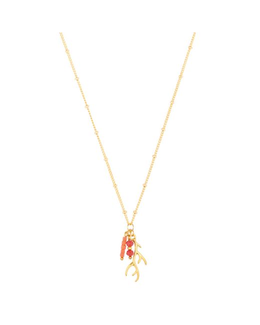 &anne 24kt Plated Coral Necklace