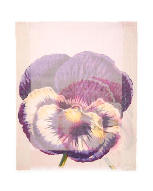 Faliero Sarti Floral Printed Wool Blend Scarf