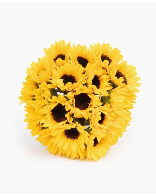 Bloomsybox Sunny Sunflower Fresh Flower Bouquet