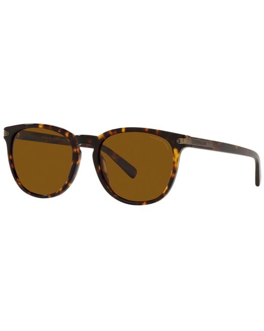 Coach Polarized Sunglasses HC8284 53 L1120