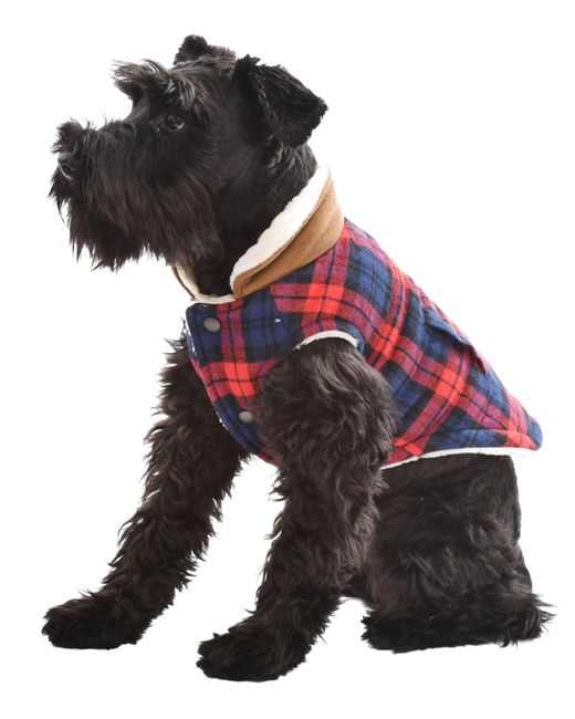 Parisian Pet Scottish Plaid Dog Jacket