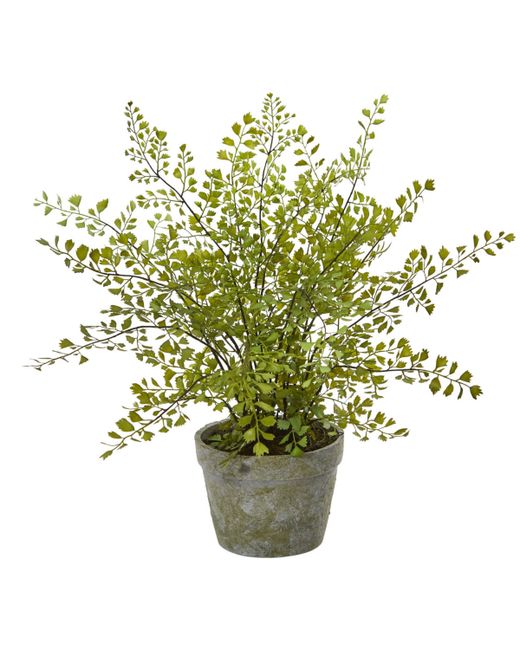 Nearly Natural Maiden Hair Artificial Plant in Decorative Planter