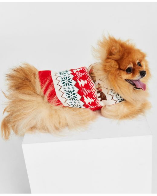 Charter Club Dog Santa Bear Sweater Created for