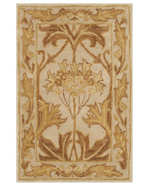 Safavieh Antiquity At841 and Gold 2 x 3 Area Rug