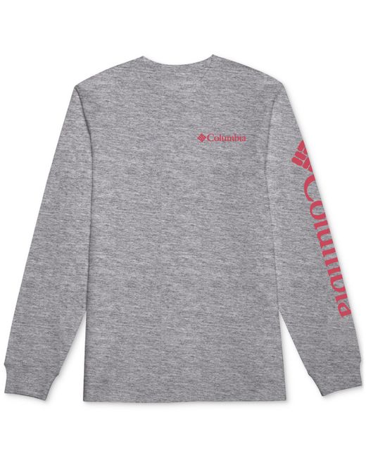 Columbia Fundamentals Graphic Long Sleeve T-shirt sunset Red
