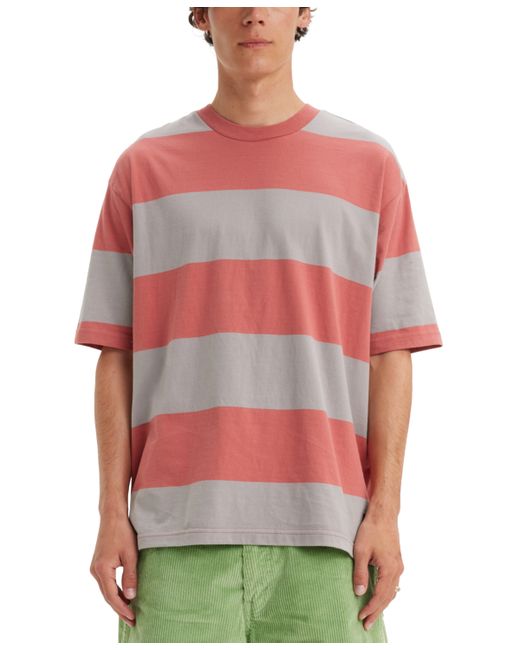Levi's Skate Graphic Boxy Relaxed Fit T-shirt