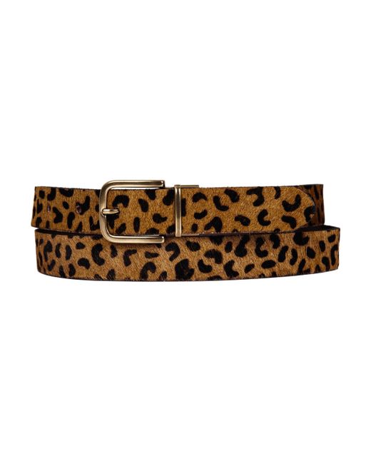 Lucky Brand Genuine Haircalf Leopard and Smooth Leather Reversible Belt