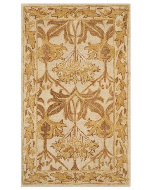Safavieh Antiquity At841 and Gold 3 x 5 Area Rug