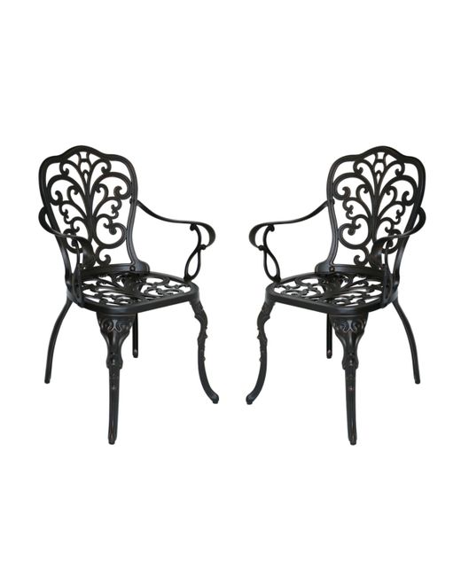 Noble House Viga Outdoor Dining Chair Set of 2