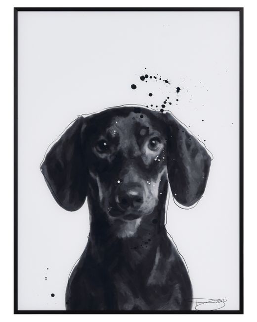 Empire Art Direct Dachshund Pet Paintings on Printed Glass Encased with A Black Anodized Frame 24 x 18 1