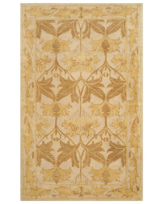 Safavieh Antiquity At841 and Gold 5 x 8 Area Rug