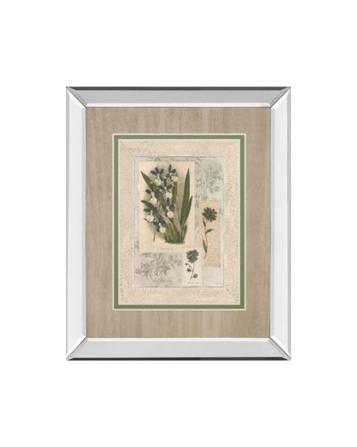 Classy Art Histoire Du Orchid By Carney Mirror Framed Print Wall Art Collection