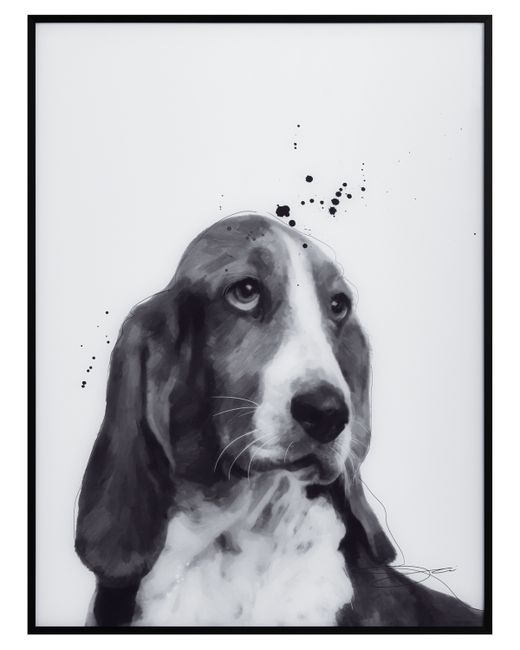 Empire Art Direct Basset Hound Pet Paintings on Printed Glass Encased with a Black anodized Frame 24 x 18 1