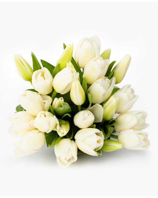 Bloomsybox Pure Tulips Fresh Flower Bouquet