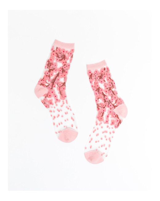 Sock Candy Cherry Blossom Sheer Sock
