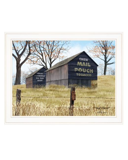Trendy Decor 4u Treat Yourself Mail Pouch Barn by Billy Jacobs Ready to hang Framed Print White Frame 27 x 21