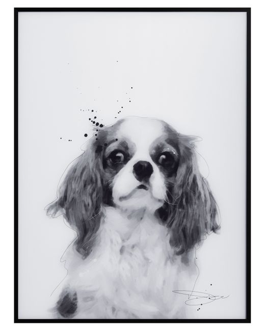 Empire Art Direct King Charles Spaniel Pet Paintings on Printed Glass Encased with A Black Anodized Frame 24 x 18 1