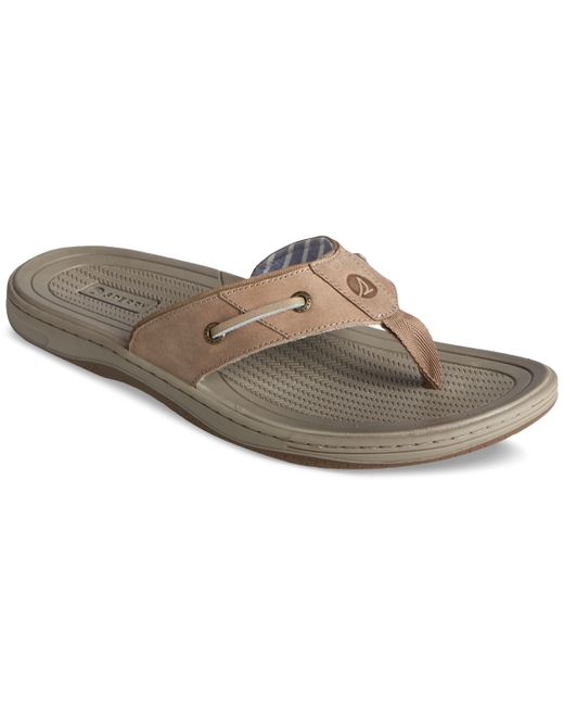 Sperry Baitfish Thong Leather Sandals