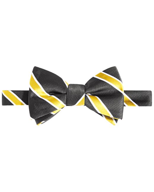 Tayion Collection Gold Stripe Bow Tie