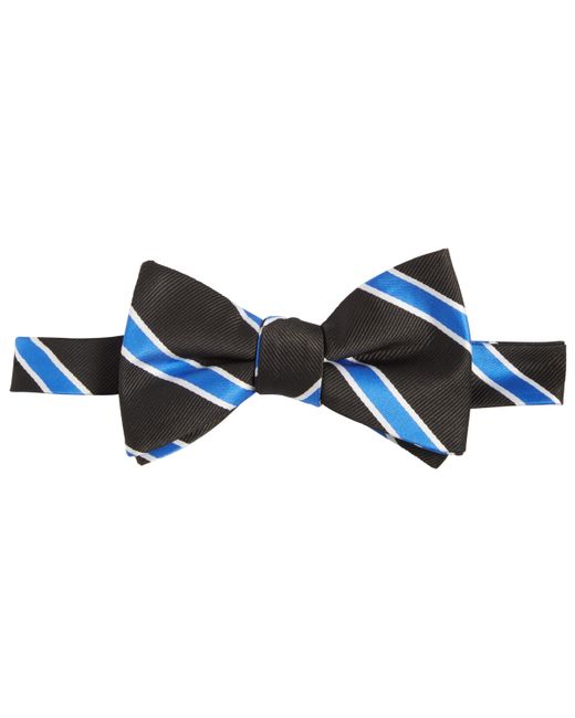 Tayion Collection Royal Blue White Stripe Bow Tie