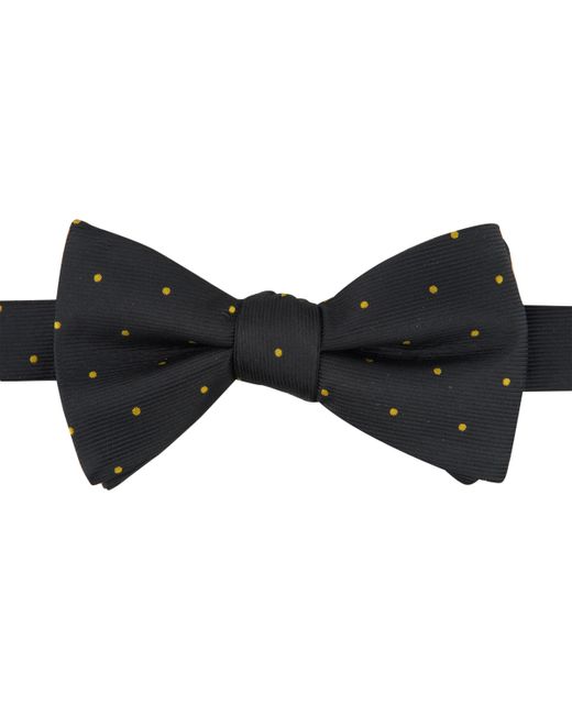 Tayion Collection Alpha Phi Dot Bow Tie
