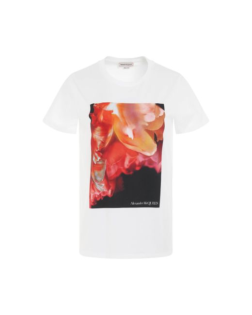 Alexander McQueen Exploded Petal Print T-Shirt