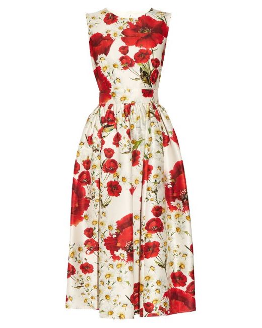 Dolce & Gabbana Poppy-print cotton and silk-blend dress