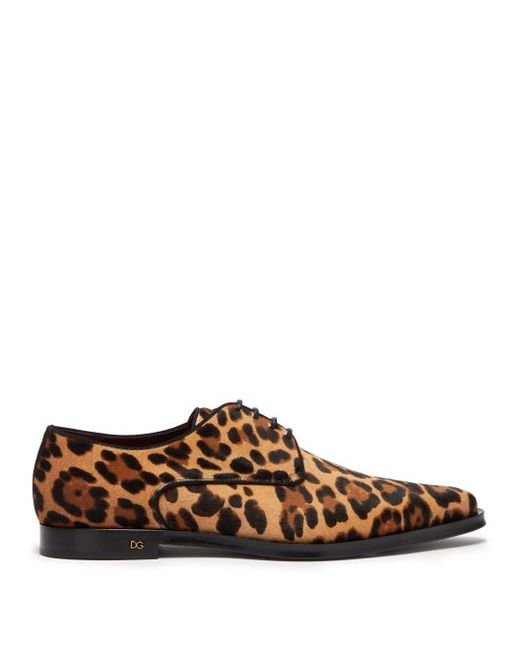 Dolce & Gabbana Leopard-print Calf-hair Derby Shoes