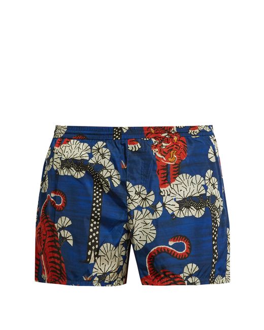 Gucci Tiger-print swim shorts