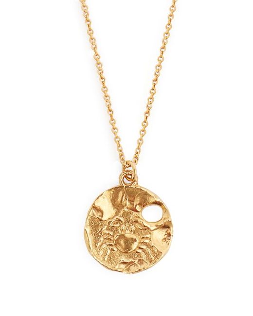Alighieri Cancer plated Necklace