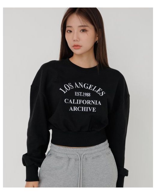 awesomestudio Lettering Embroidered Cropped Sweatshirt