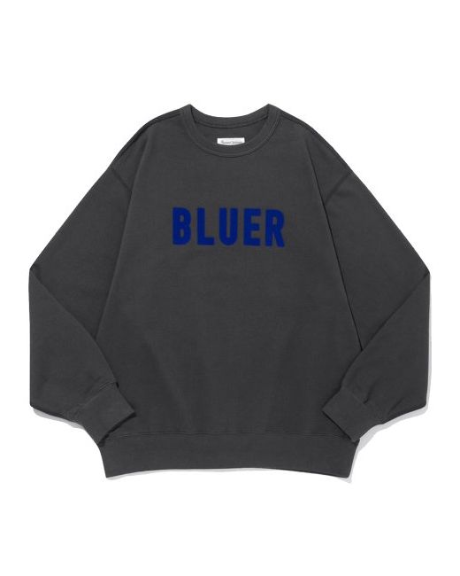 namerclothing Bluer Team Sweatshirts Charcoal