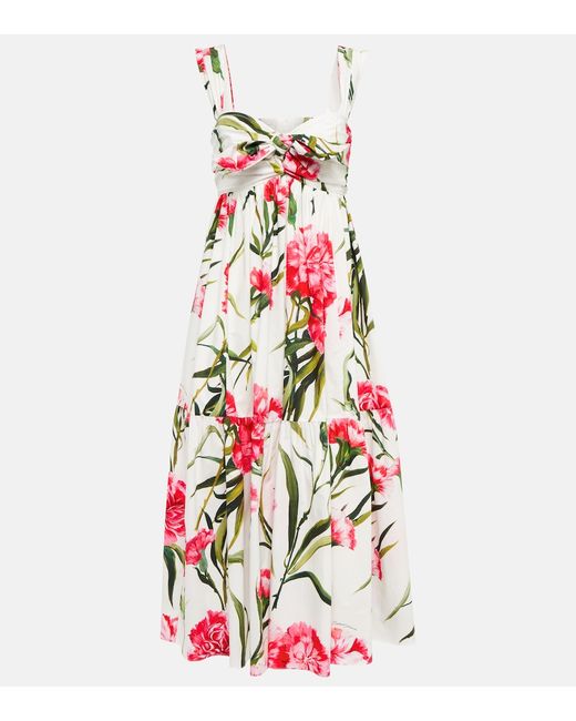 Dolce & Gabbana Floral cotton poplin midi dress