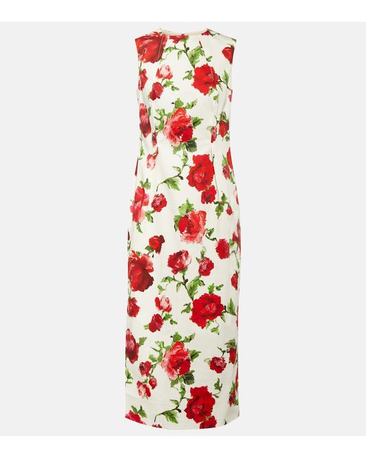 Carolina Herrera Floral cotton-blend midi dress