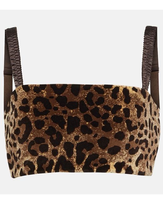 Dolce & Gabbana Leopard-print velvet crop top