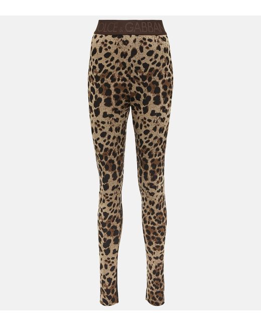 Dolce & Gabbana High-rise leopard-print leggings