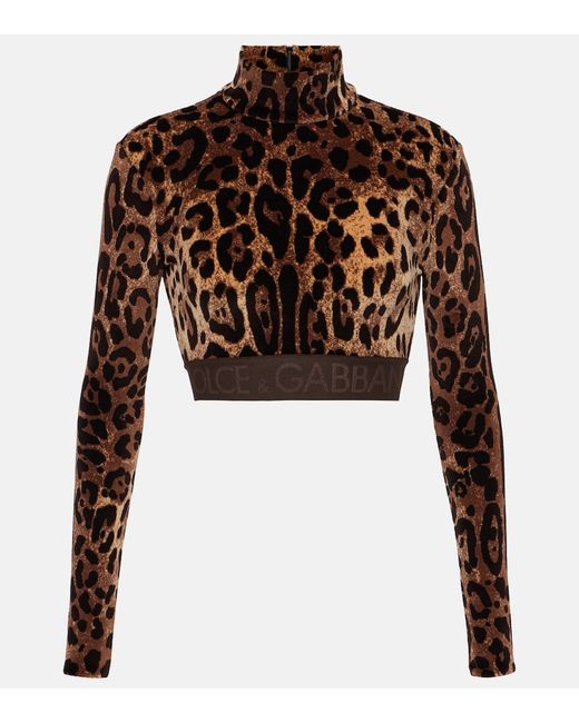 Dolce & Gabbana Jacquard leopard-print cropped top