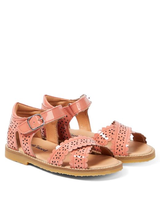 Petit Nord Crossover Scallop Flower leather sandals