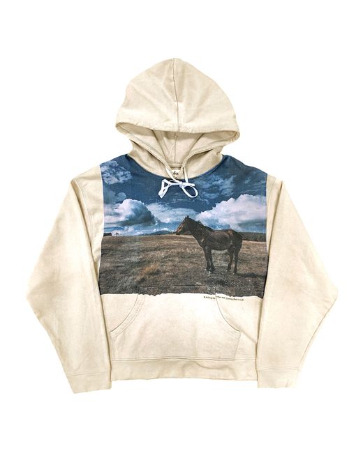 Profound Horse Print Graphic Pullover Hoodie