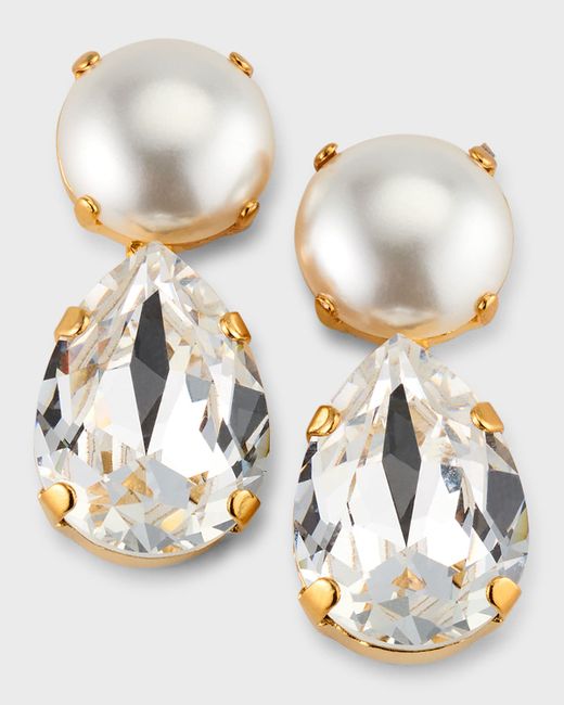 Elizabeth Cole Jewelry Sable Crystal Drop Earrings