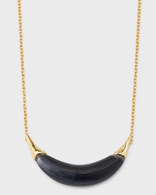 Alexis Bittar Gold-Capped Crescent Lucite Necklace