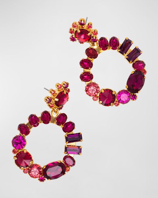 Elizabeth Cole Jewelry Lylia Multi-Crystal Earrings