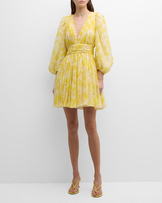Giambattista Valli Floral-Print Balloon-Sleeve Silk Georgette Mini Dress