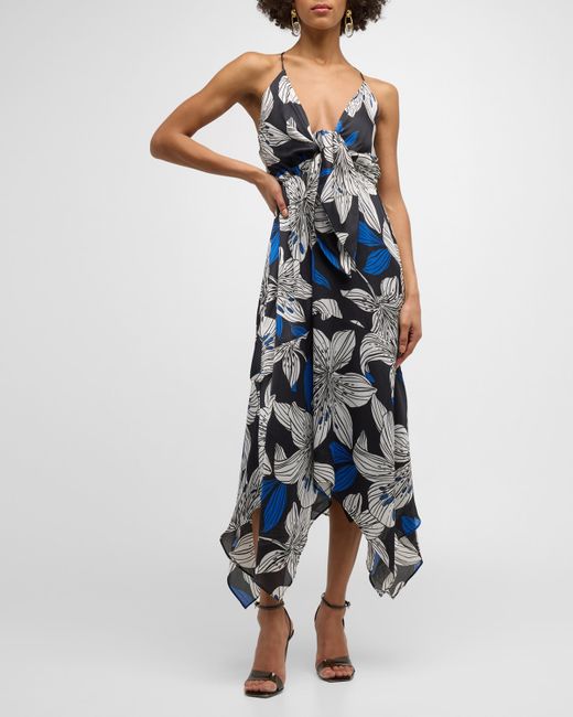 Ramy Brook Estrella Lily-Print Midi Dress