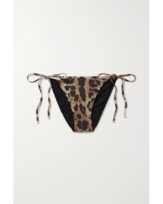 Dolce & Gabbana Leopard-print Bikini Briefs