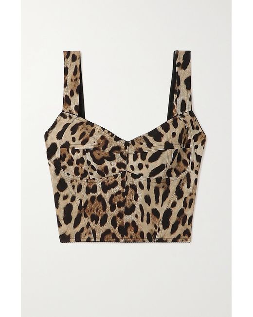 Dolce & Gabbana Cropped Leopard-print Stretch-canvas Bustier Top Leopard print